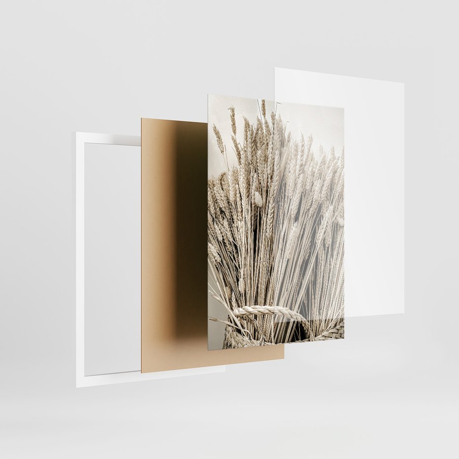 Zestaw obrazy w ramie 50x70 galeria - Sepia, krajobraz, wiejski, pole - rama biała