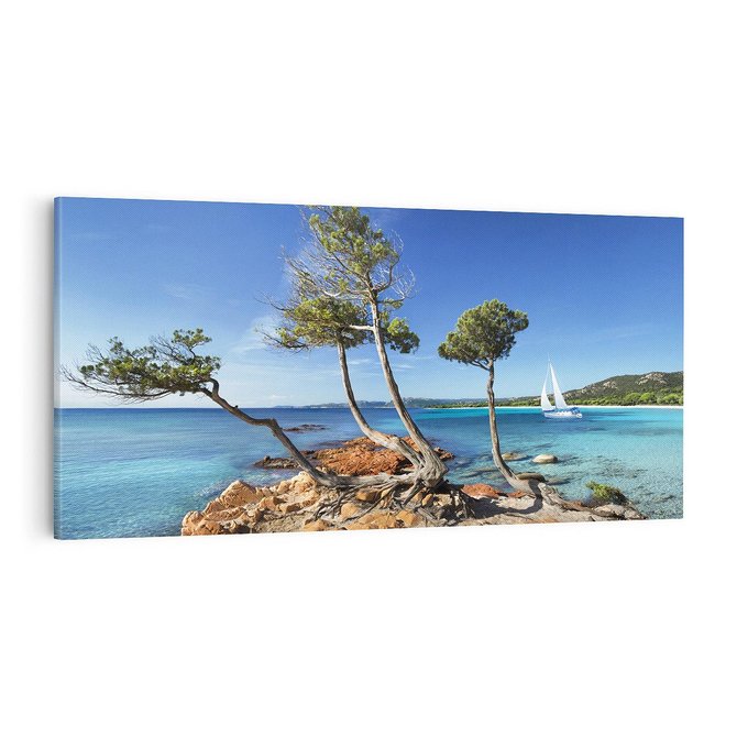 Obraz na płótnie 100x50 - Korsyka - morze i drzewa - Korsyka, morze