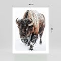 Plakat bez ramy 40x50 - Zimowy Władca Puszczy - żubr, bizon