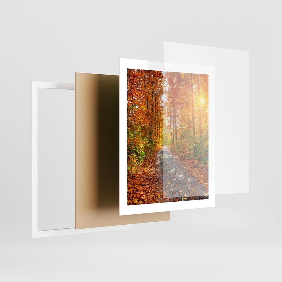 Plakat w ramie 40x50 - Kolorowe drzewa na ścieżce jesieni - las, jesień - rama biała