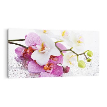 Obraz na płótnie 120x60 - Magia kwiatów - kwiaty