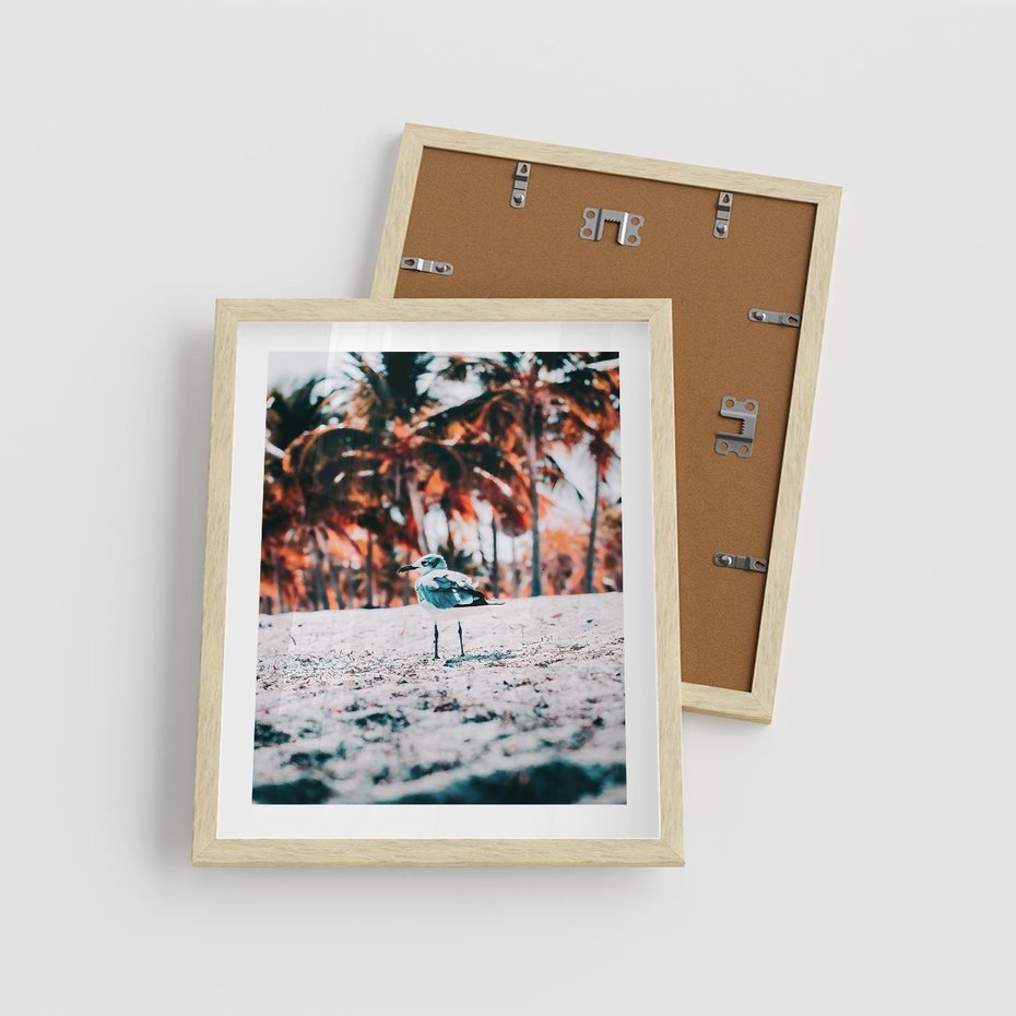 Plakat w ramie 40x50 - Tropikalna Uroda: Plaża z Mewą - tropikalna plaża, mewa na piasku - rama drewno