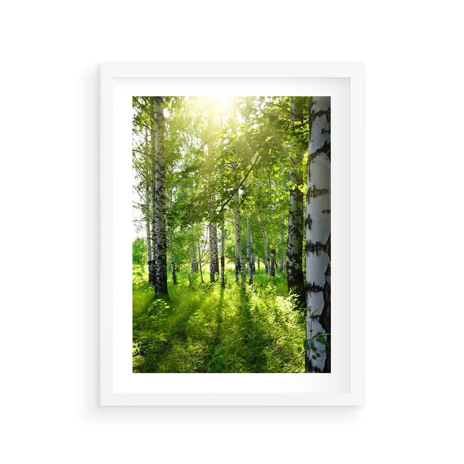 Plakat w ramie 30x40 - Lasowa Księżycowa Noc - las, drzewa - rama biała