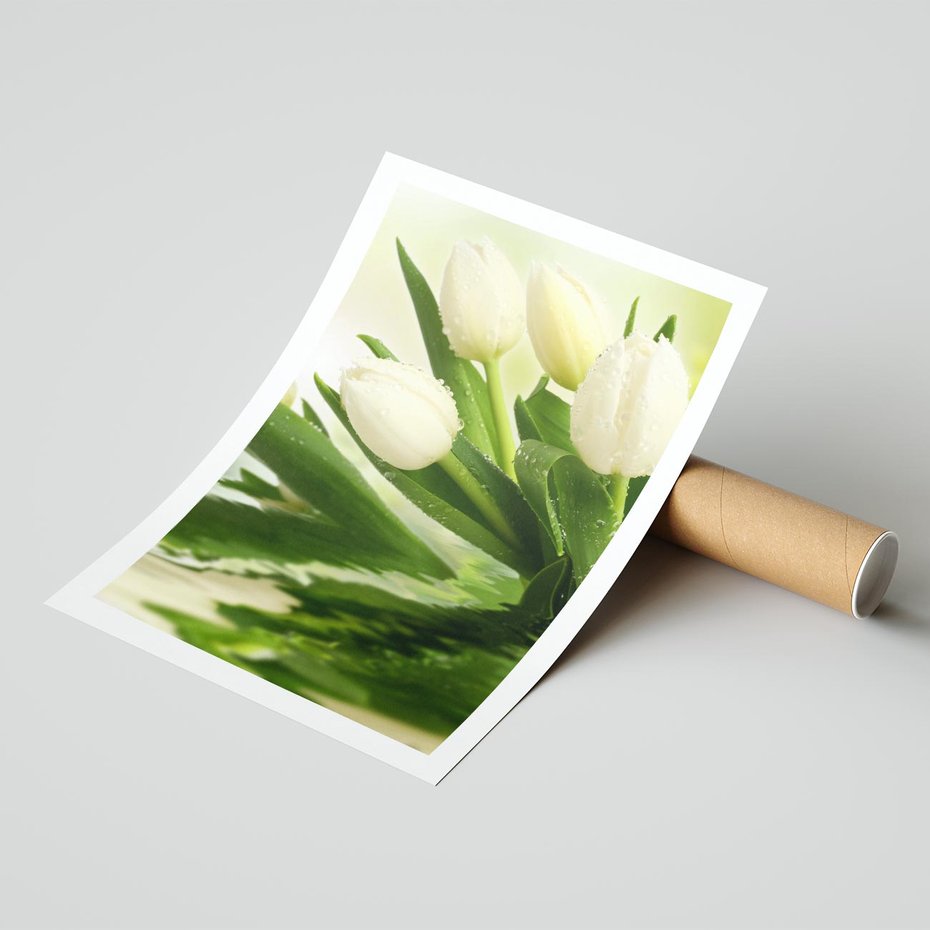 Plakat bez ramy 50x70 - Białe Piękno - białe, tulipany