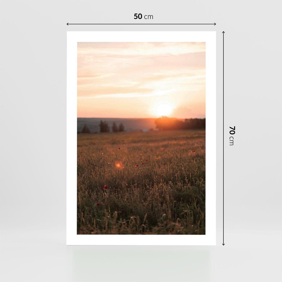 Plakat bez ramy 50x70 - Łąka we Wschodzącym Słońcu: Magia Poranka - łąka, krajobraz