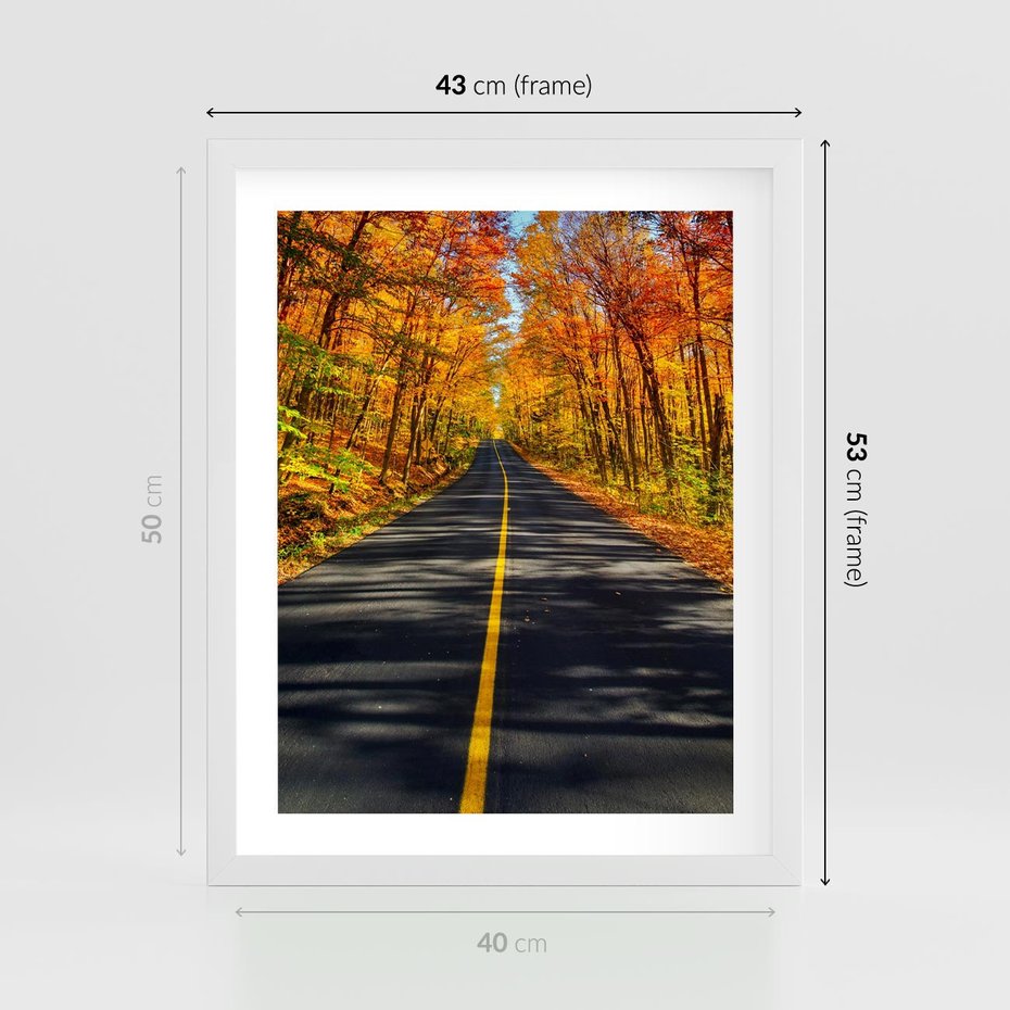 Plakat w ramie 40x50 - Droga przez jesienny las - droga, las - rama biała