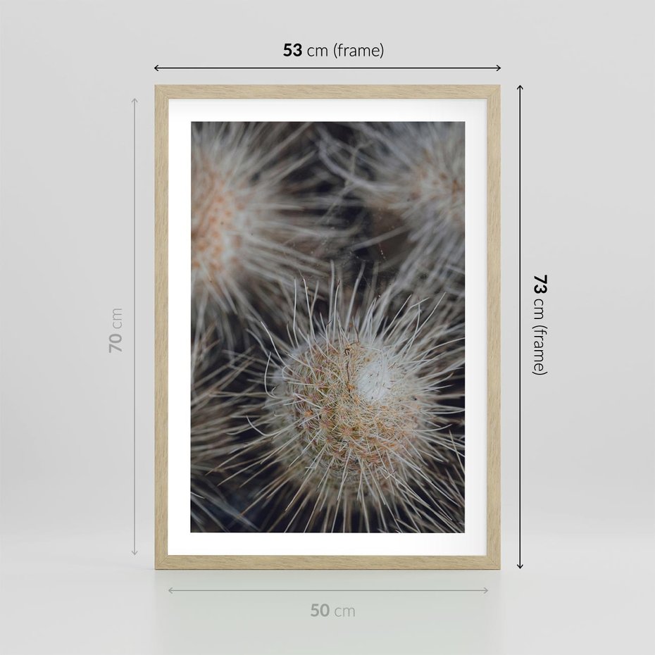 Plakat w ramie 50x70 - Ulotna Piękność Natury - makro, dmuchawce - rama drewno