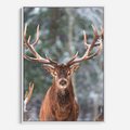 Obraz w ramie 70x100 - Monarcha Zimowej Dziczy - jeleń, zima - rama biała