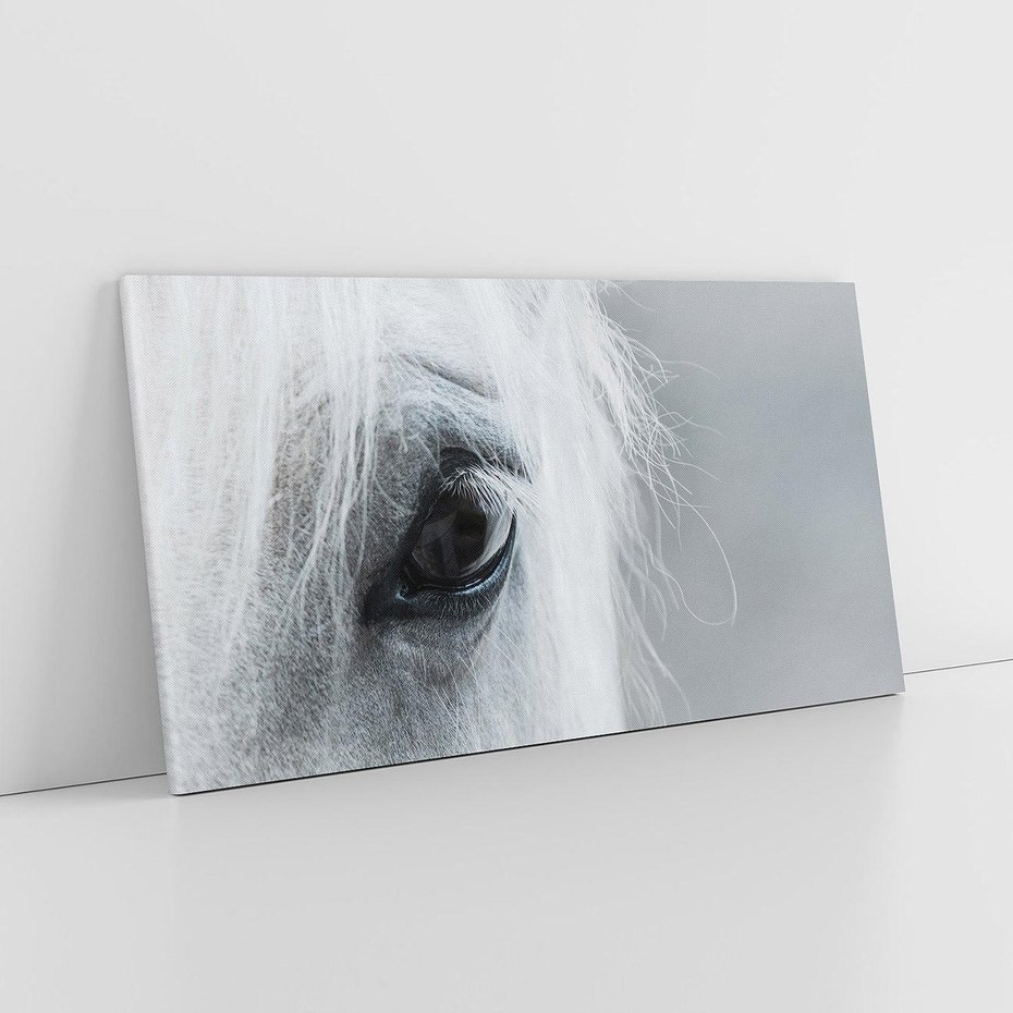 Obraz na płótnie 120x60 - Oko Mocy - czarno białe zdjęcie, zbliżenie makro na oko konia
