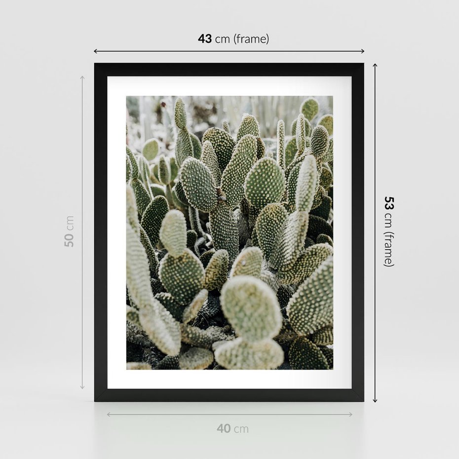 Plakat w ramie 40x50 - Kaktusowa Harmonia - kaktusy, fotografia - rama czarna