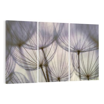 Obraz na płótnie 120x80 - Makro dmuchawiec - piękno drobnych detali - dmuchawce, makro