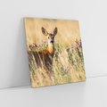 Obraz na płótnie 40x40 - Sarenka na malowniczej łące - sarna, sarenka