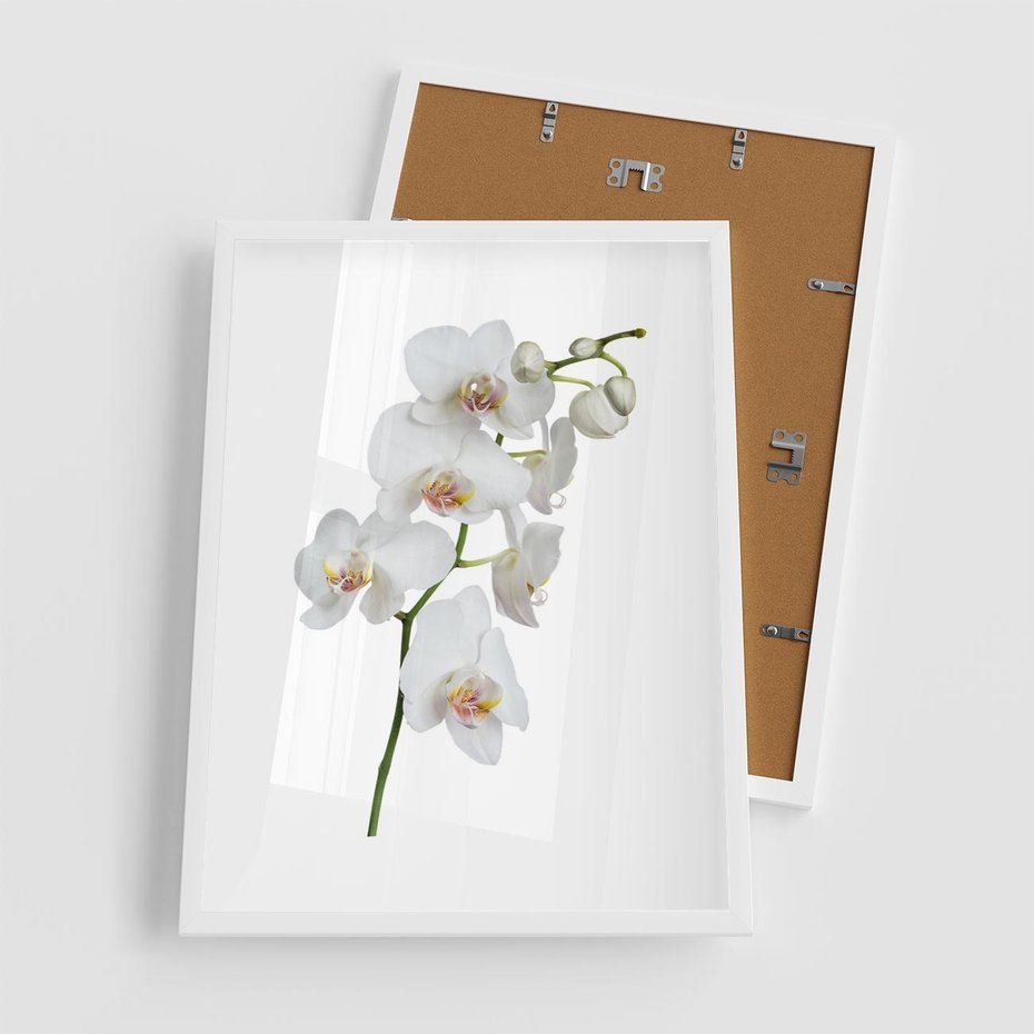 Plakat w ramie 50x70 - Ekskluzywny Relaks - storczyk, spa - rama biała