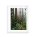Plakat w ramie 30x40 - Mgliste Marzenia - artystyczna fotografia, las - rama biała