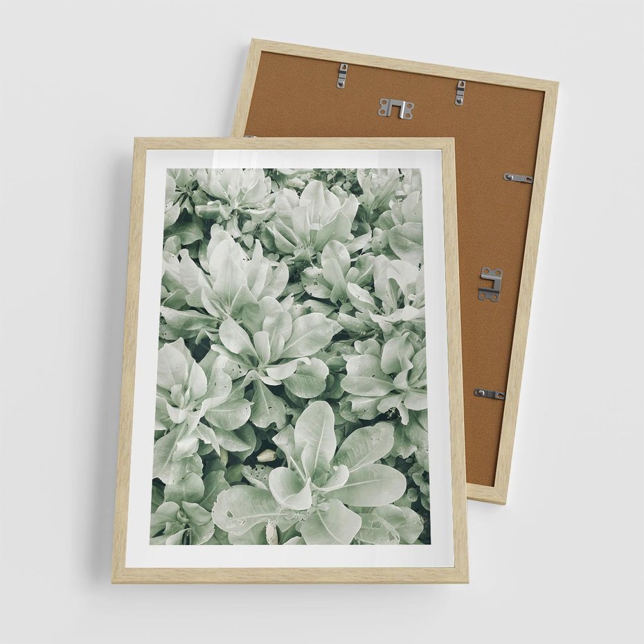 Plakat w ramie 50x70 - Liście w Jasnych Odcieniach Zielonego - liście, jasna zieleń fotografia - rama drewno