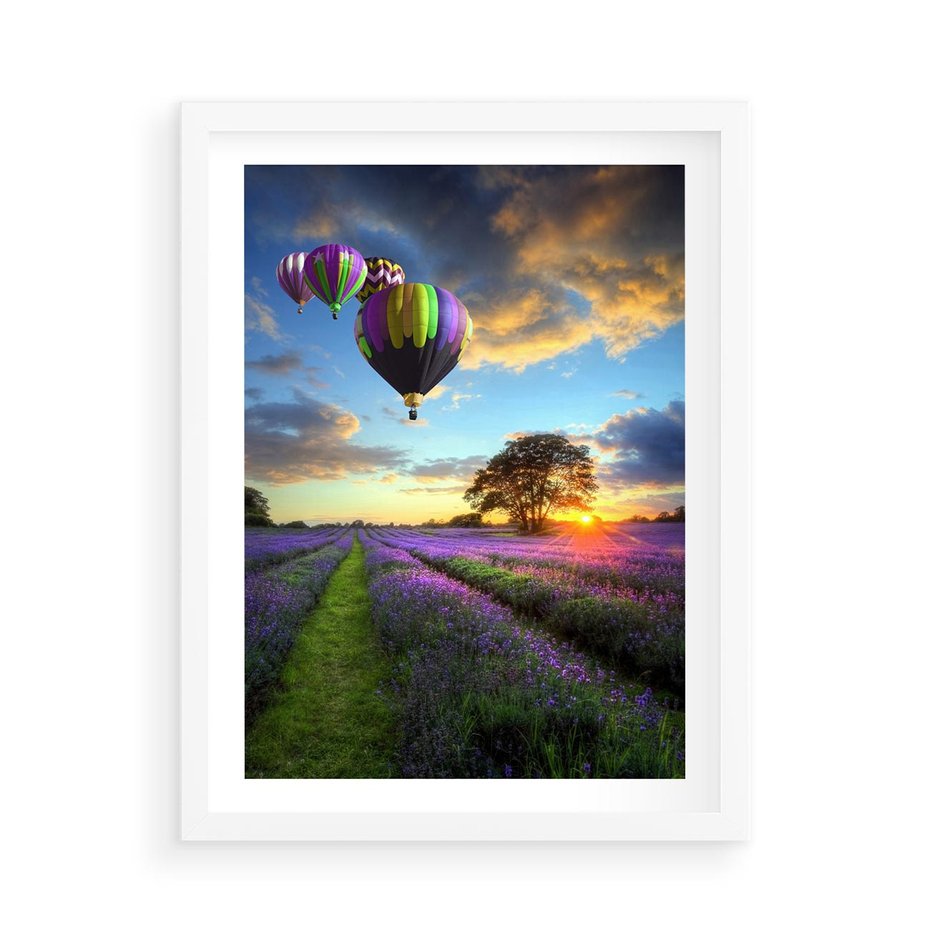 Plakat w ramie 50x70 - Lawendowe Marzenia - lawenda, balony - rama biała