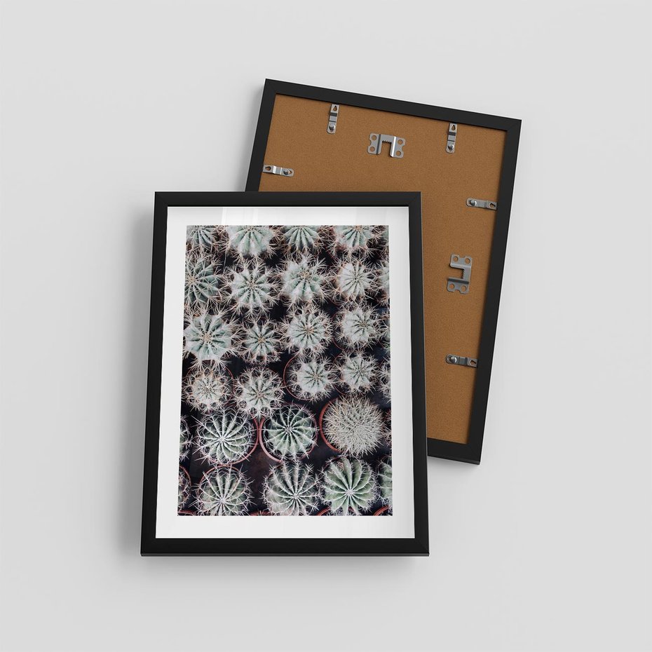 Plakat w ramie 30x40 - Wzór Kaktusów - kaktusy w doniczkach, ujęcie z góry - rama czarna