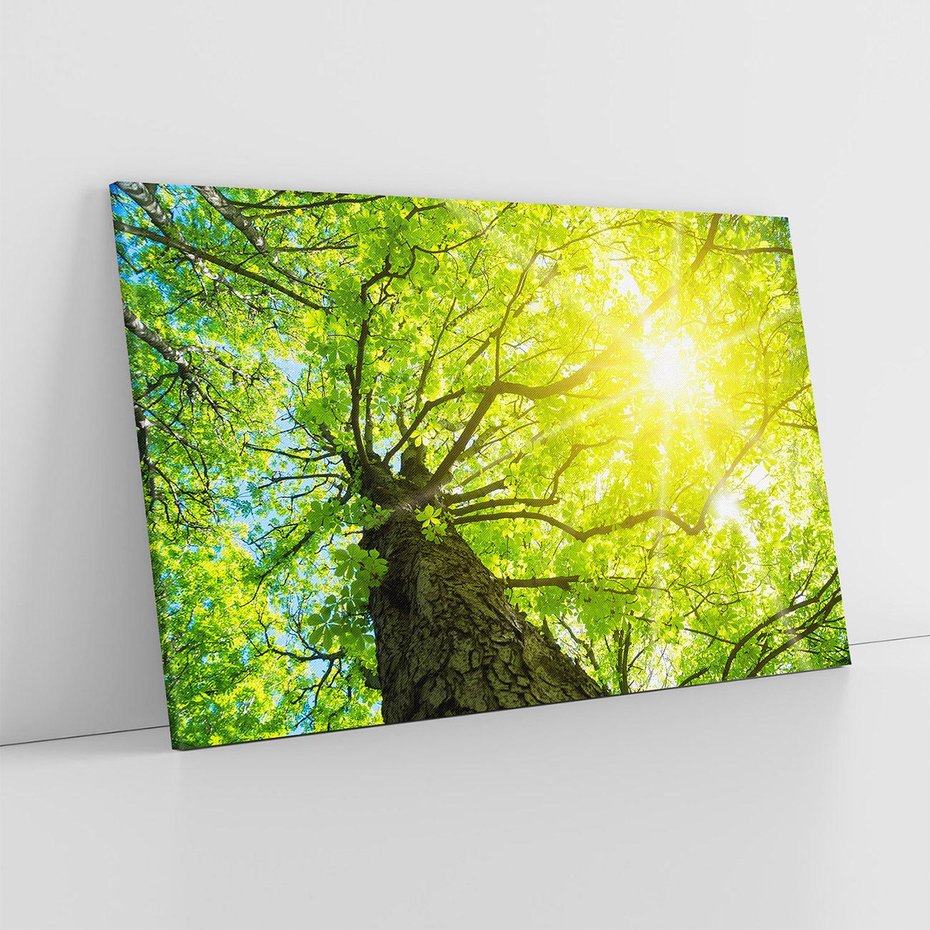 Obraz na płótnie 120x80 - Drzewo pod Słońcem: Łączność z Naturą - drzewo, słońce