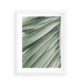 Plakat w ramie 40x50 - Tropikalna Oaza - zielony liść palmy, zieleń - rama biała