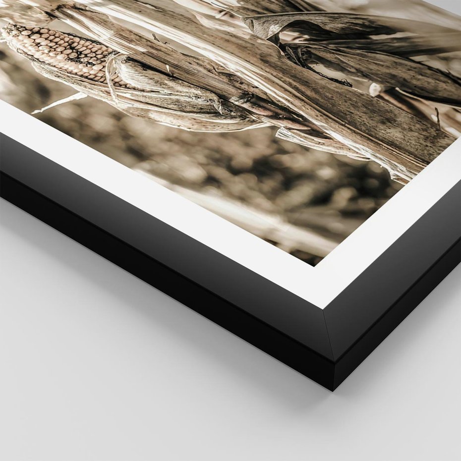 Plakat w ramie 50x70 - Retro Pole Kukurydzy - retro zdjęcie, sepia - rama czarna