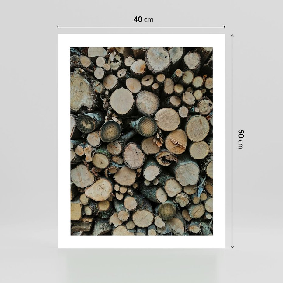 Plakat bez ramy 40x50 - Bliskość Natury - drewno, las