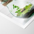 Plakat bez ramy 30x40 - Żywioł Natury - liście, zieleń