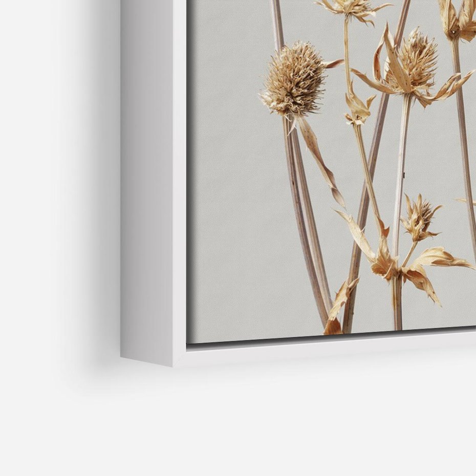 Obraz w ramie 70x50 - Delikatne gipsówki - gipsówka, suche - rama biała