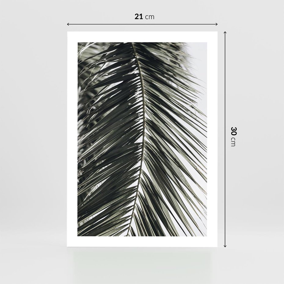 Plakat bez ramy 21x30 - Liść Palmy: Egzotyczny Detal Natury - palma, liść palmy