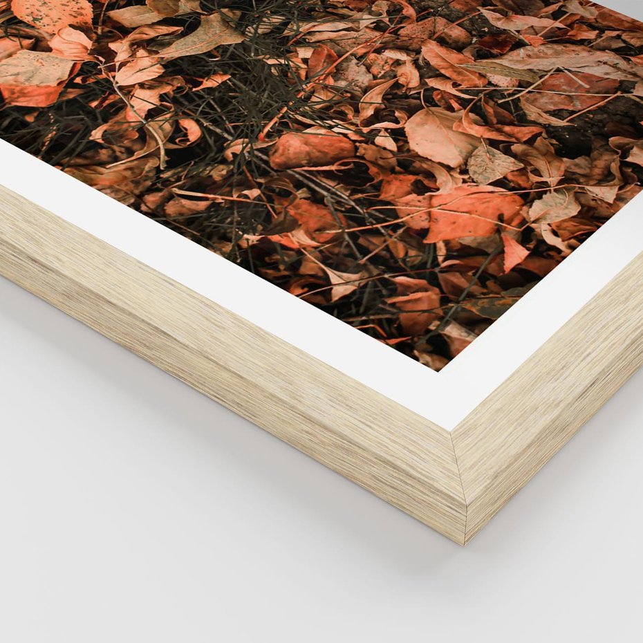 Plakat w ramie 50x70 - Jesienny Splot: Pomarańczowe Liście - liście, pomarańczowe suche liście - rama drewno