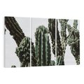 Obraz na płótnie 120x80 - Boho oaza wśród kaktusów - kaktusy, pustynia
