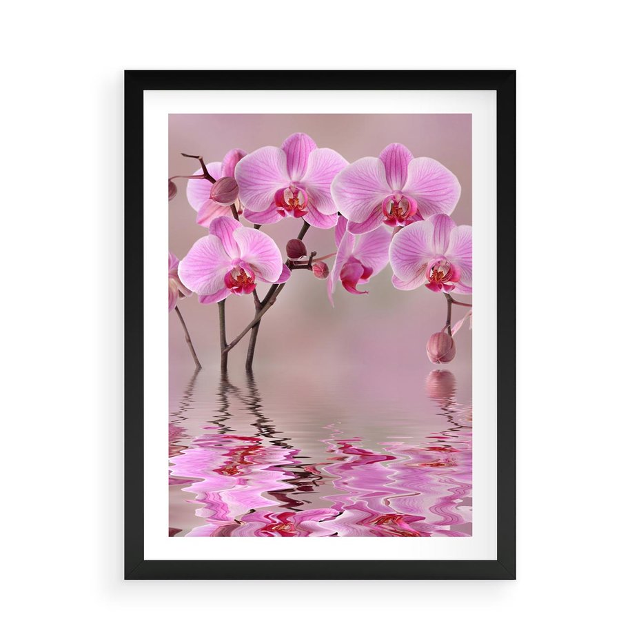 Plakat w ramie 50x70 - Relaksacyjne spa w otoczeniu storczyka - spa, storczyk - rama czarna