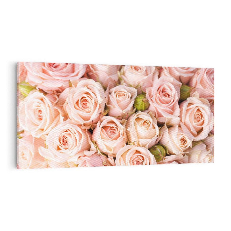 Obraz na płótnie 100x50 - Delikatność róż - piękno natury - róże, kwiaty
