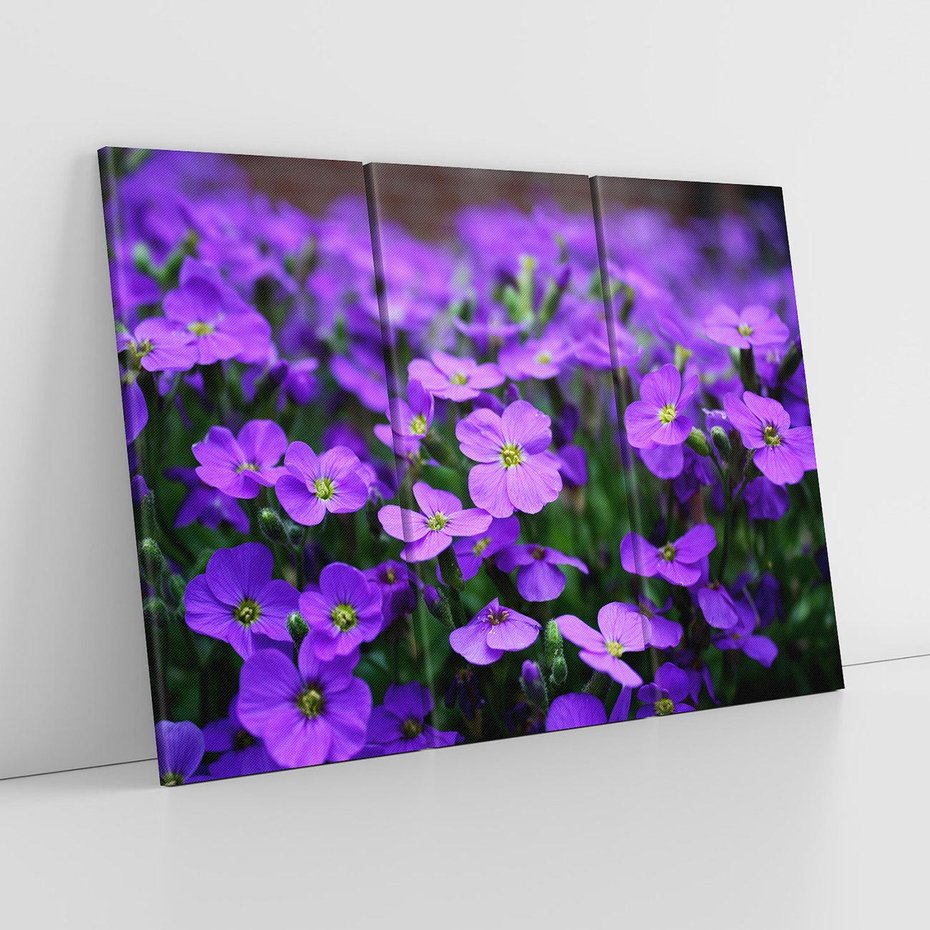 Obraz na płótnie 120x80 - Kwiatowe uniesienia magia natury - kwiat, kwiaty