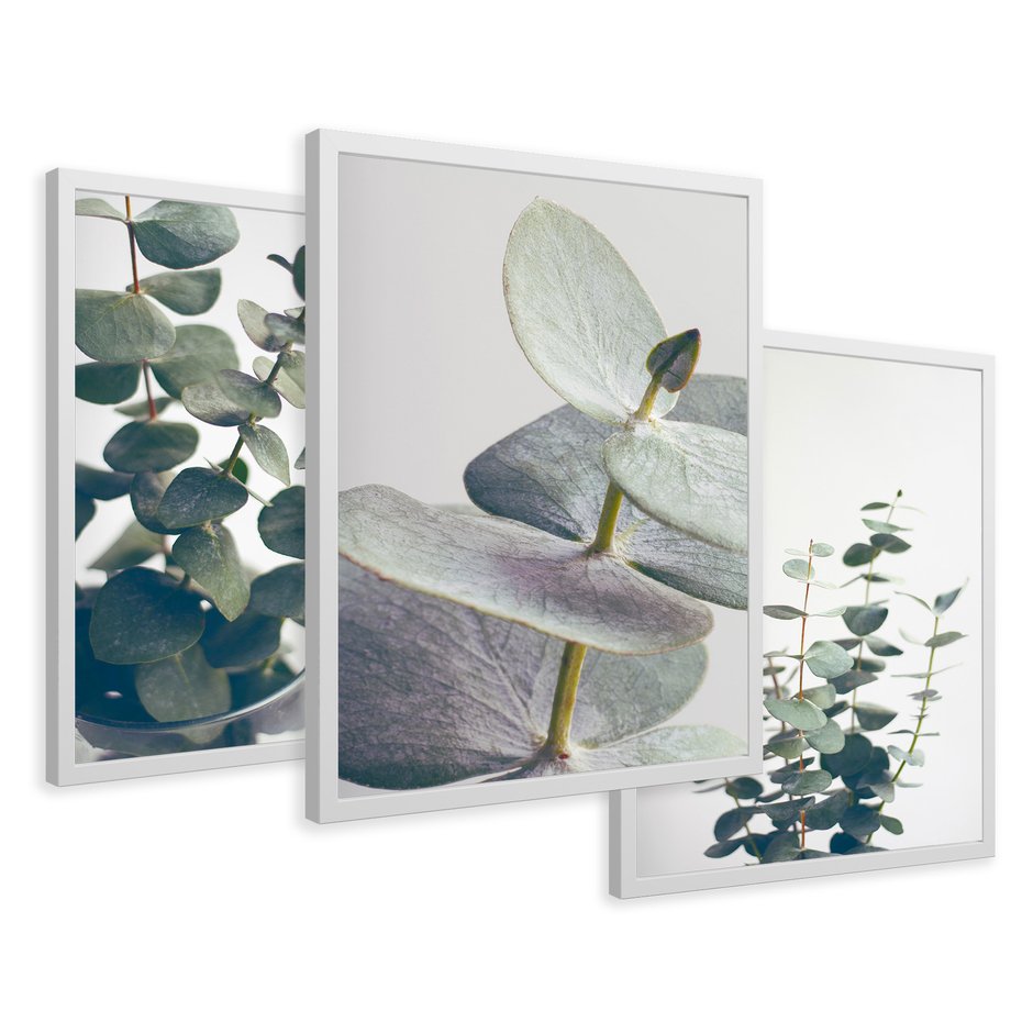 Zestaw obrazy w ramie 50x70 galeria - Eukaliptus, liście, skandynawski, boho - rama biała