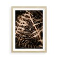 Plakat w ramie 50x70 - Liście i Paprocie - suche liście, paprocie - rama drewno