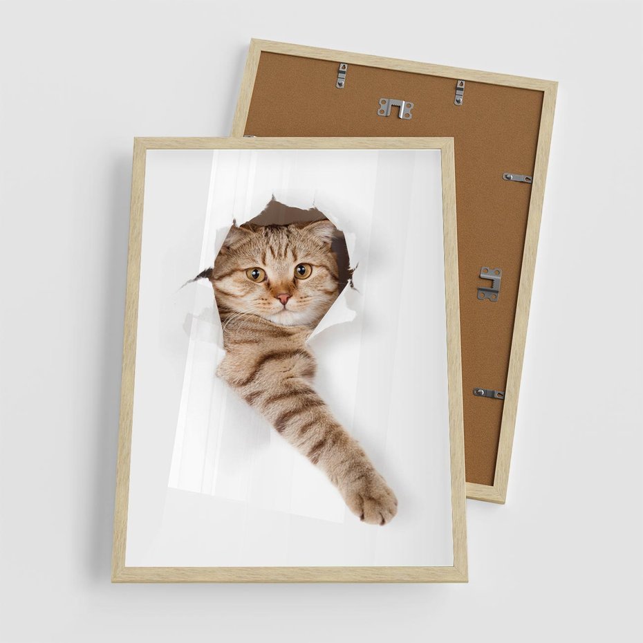 Plakat w ramie 50x70 - Kot w Dziurze - kot, dziura - rama drewno
