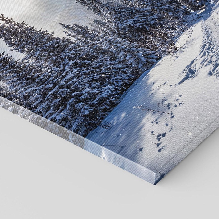 Obraz na płótnie 70x50 - Zimowe góry w lesie - góry, zima