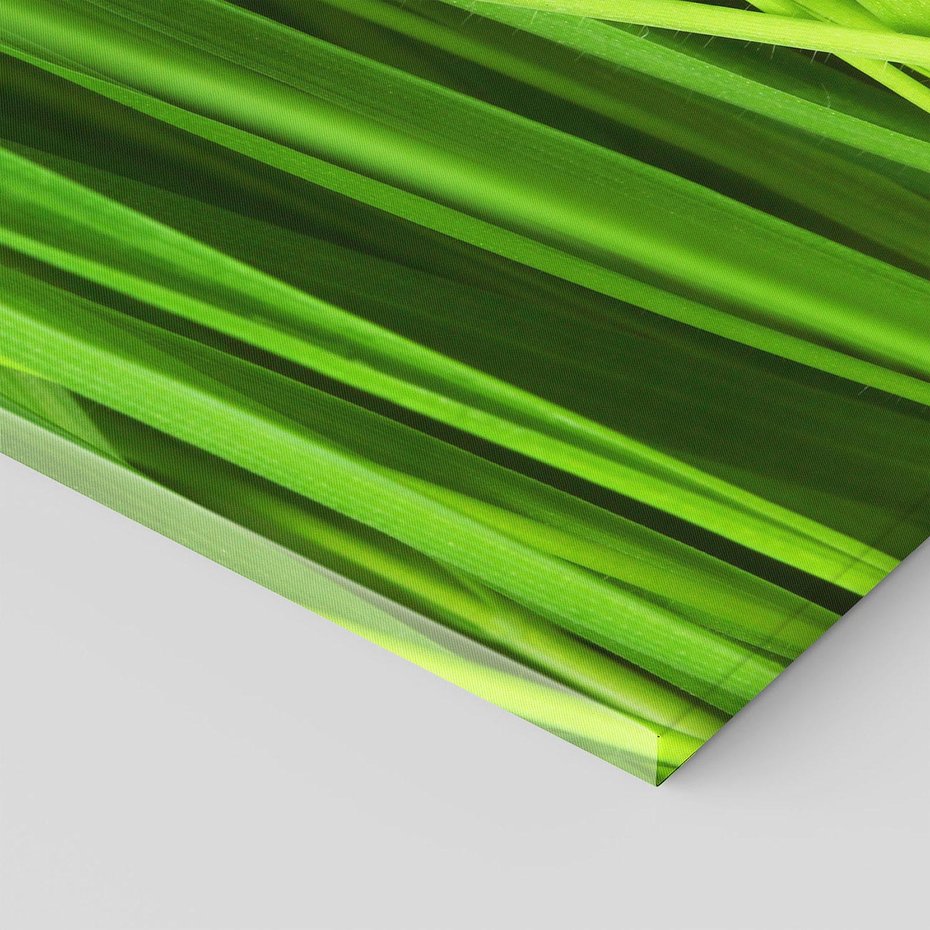 Obraz na płótnie 80x120 - Trawa w abstrakcji: natura przekształcona - trawa, abstrakcja