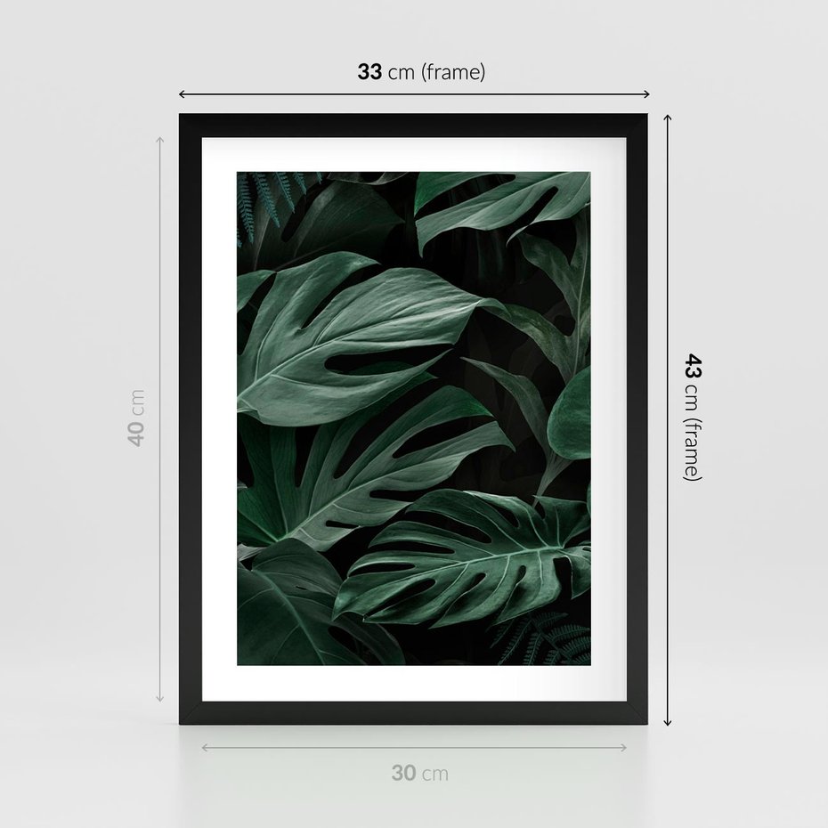 Plakat w ramie 30x40 - Zielone Liście Monstery w Dżungli - zielone liście monstery, dżungla - rama czarna
