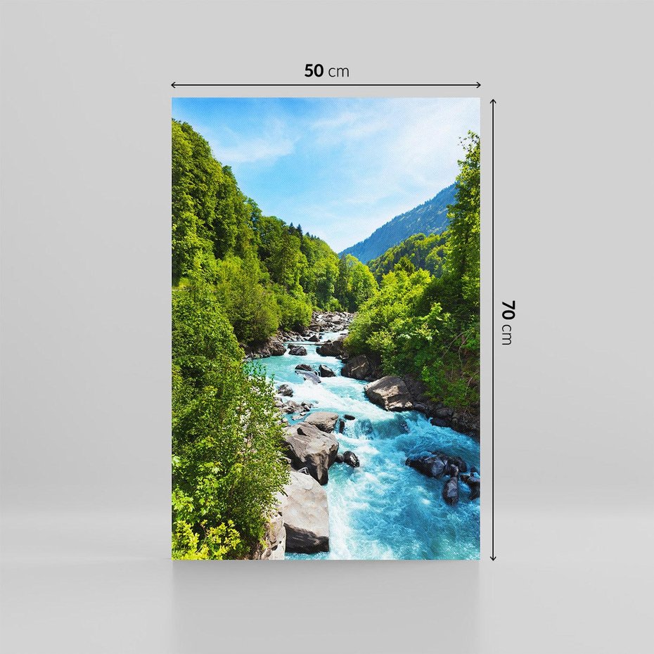 Obraz na płótnie 50x70 - Górski strumyk - strumyk, góry