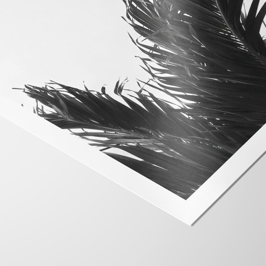Plakat bez ramy 30x40 - Tropikalna Uroda w Czerni i Bieli - fotografia czarno biała, liście palmy