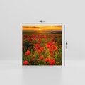 Obraz na płótnie 40x40 - Maki przy zachodzie słońca - maki, zachód