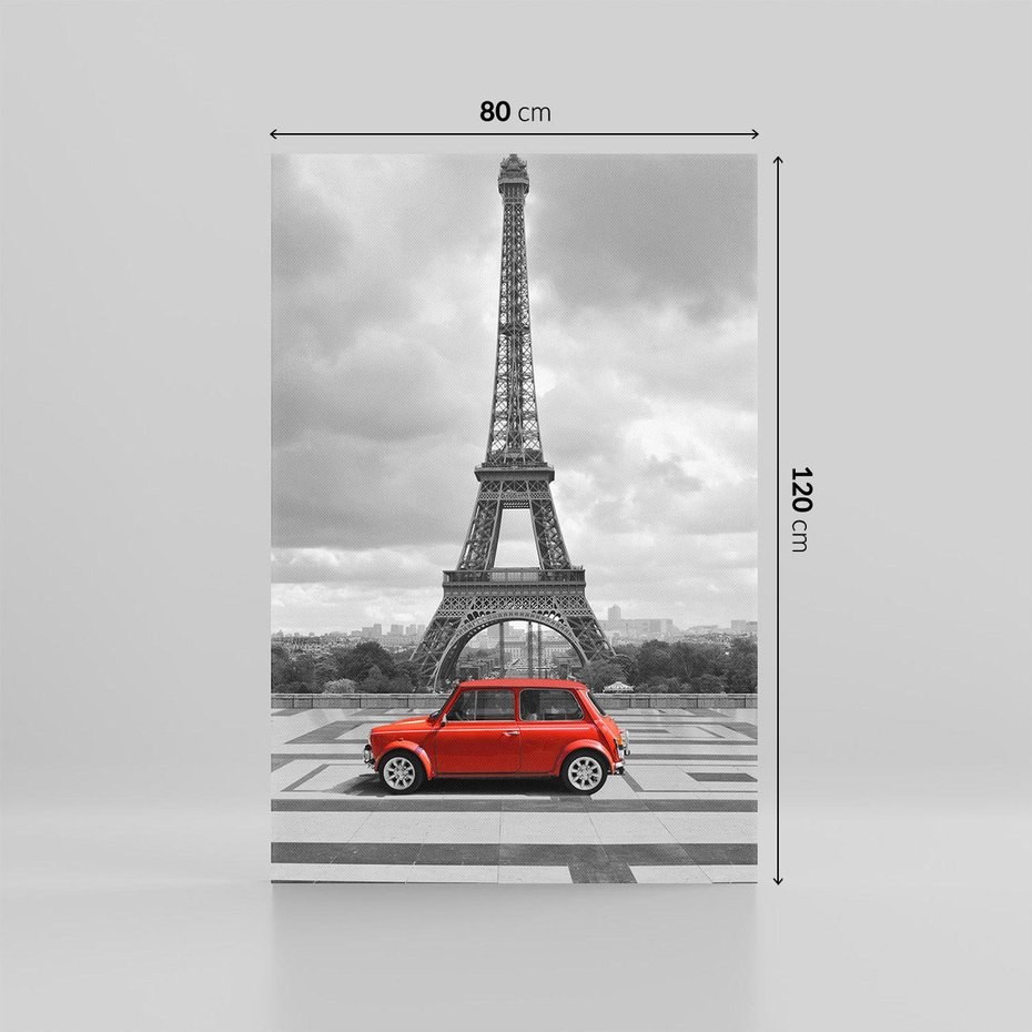 Obraz na płótnie 80x120 - Paryż z wieżą Eiffla w tle - Paryż, Eiffla