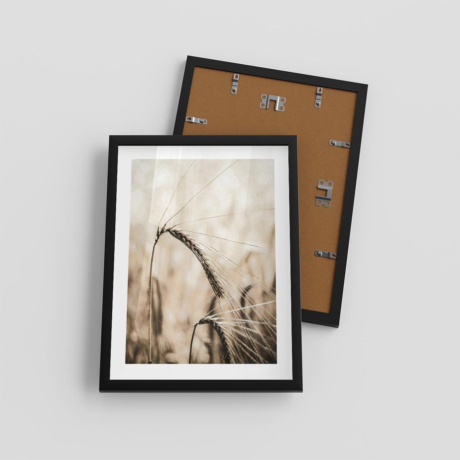 Plakat w ramie 30x40 - Źdźbło Pszenicy: Blisko Natury - źdźbło pszenicy, pszenica - rama czarna