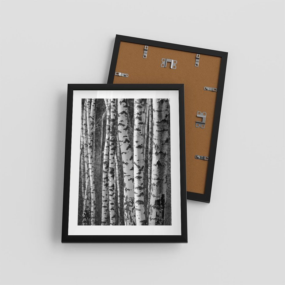Plakat w ramie 30x40 - Kontrast Monochromatyczny - brzozy, czarno - rama czarna
