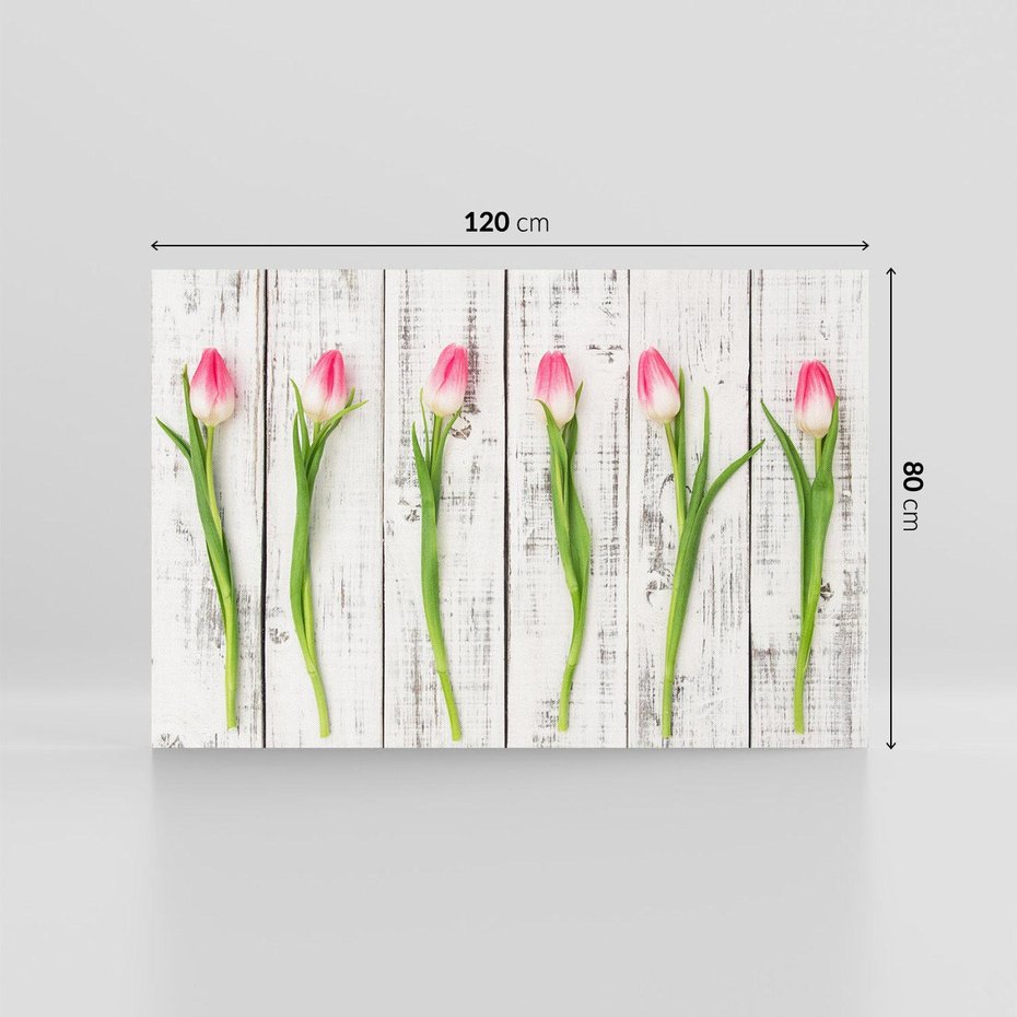 Obraz na płótnie 120x80 - Kwintesencja Piękna - kwiaty, tulipany