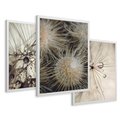 Zestaw obrazy w ramie 30x40 galeria - Dmuchawce, krople, wody, makro - rama biała