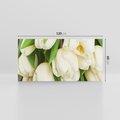 Obraz na płótnie 120x60 - Białe tulipany w pełnym rozkwicie - białe, tulipany