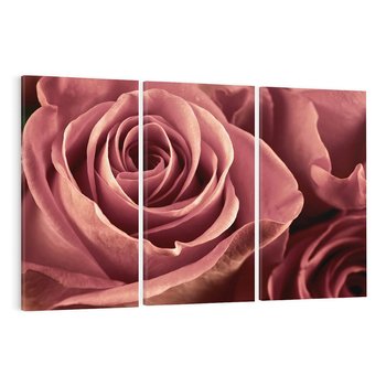 Obraz na płótnie 120x80 - Romantyczna Róż - róża, kwiat