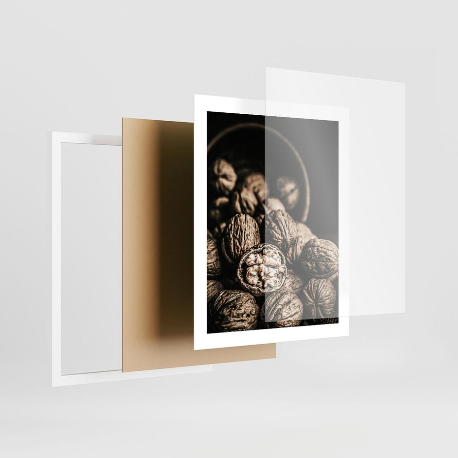 Plakat w ramie 40x50 - Orzechy Włoskie w Sepii - orzechy włoskie, fotografia retro - rama biała